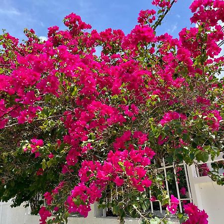 Les Villas Du Bambou - Villa Paprika Jusqu'A 6 Pers Le Gosier  Buitenkant foto